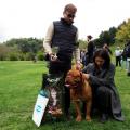 XVII Raduno Italiano Dogue De Bordeaux 13-14 Aprile 2019