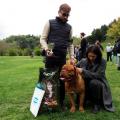 XVII Raduno Italiano Dogue De Bordeaux 13-14 Aprile 2019