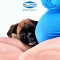 ARRIVA UN BEBE’! Suggerimenti su come preparare i nostri Pets al lieto evento