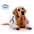 Le spese veterinarie sono detraibili?
